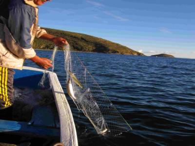 Pêche sur le lac Titicaca