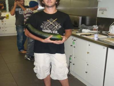 Francois avec une enorme Courgette 