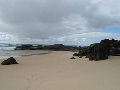 Champagne pool