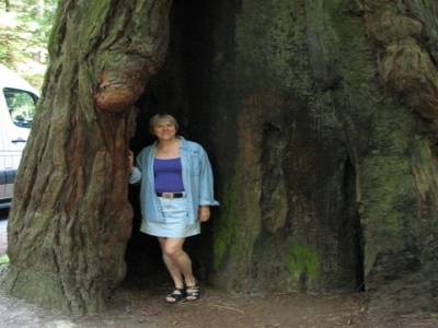 Avenue of the Giants