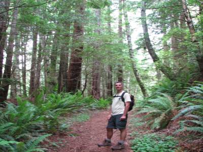 Redwood National Park
