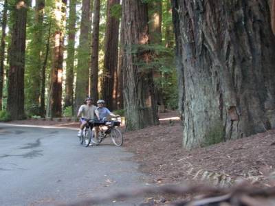 Redwood National Park