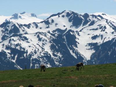 Olympic National Park
