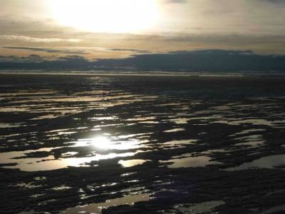 SALAR 2