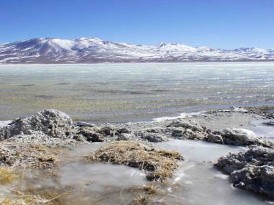 LAGUNA VERDE