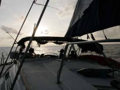 the windsurfer