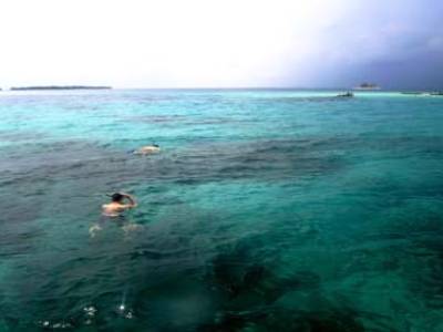 snorkelling