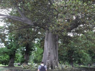Promenade : Le petit Paris de Melbourne