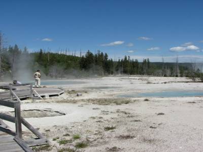 Geysers et sources d'eau sur le bord du lac Yellowstone