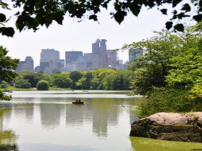 Central Park