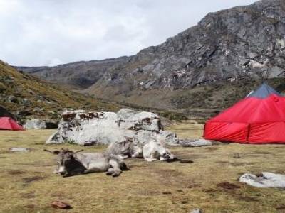Le campement lors du trek
