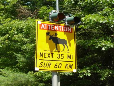 Attention orignal !