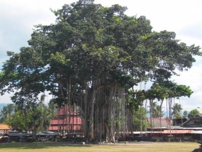 Sur la route de Borodubur