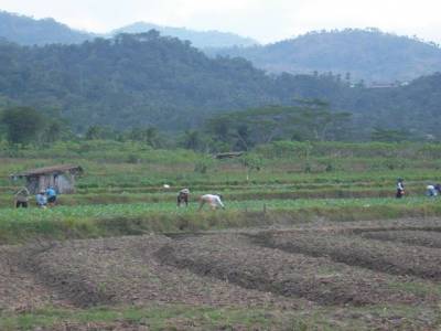 village autour de Borodubur