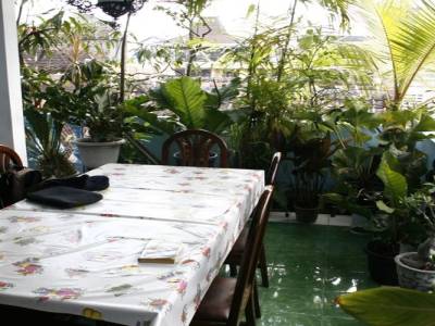 terrase de la lotus losmen
