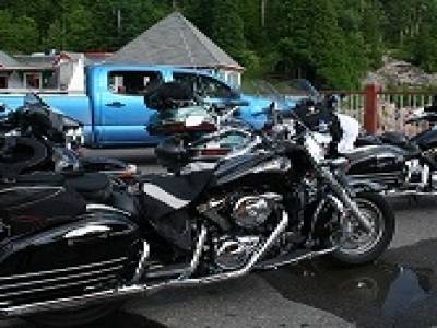 Born to be wild