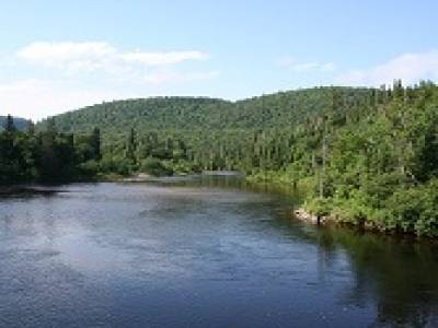 Saguenay : la rivière aux saumons
