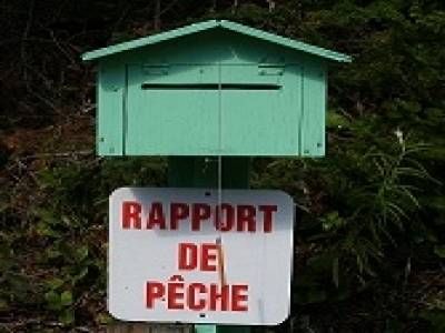Rapport de pêche