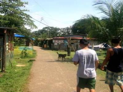 tortuguero