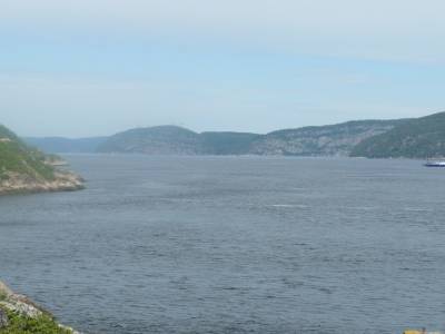 Traversier Baie Ste Catherine - Tadoussac