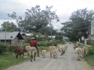 Nyangshwe