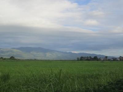 Nyangshwe