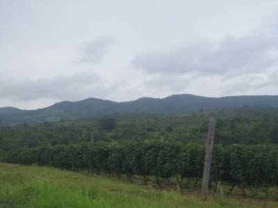 En explorant le Nord de Nyangshwe à velo