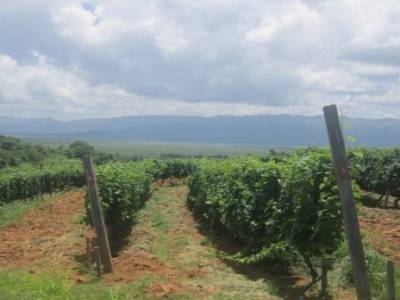 En explorant le Nord de Nyangshwe à velo