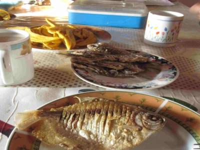 petit e palometa au repas
