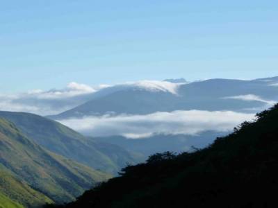 NUAGE