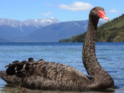 Nelson Lakes National Park