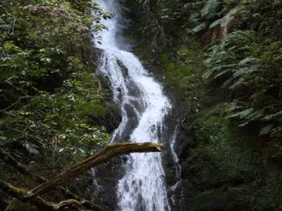 Nelson Lakes National Park