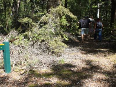 Nelson Lakes National Park