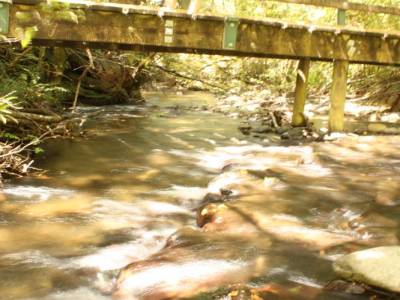 Nelson Lakes National Park