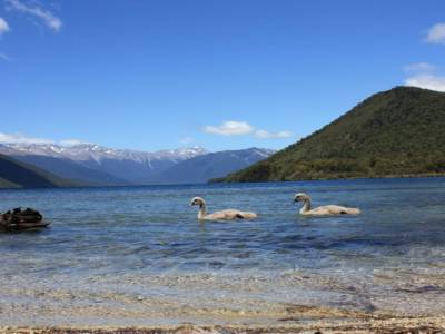 Nelson Lakes National Park