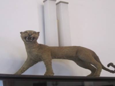 Reunification Palace
