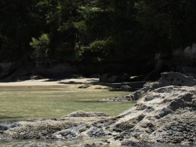 Abel Tasman National Park