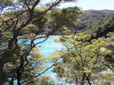 Abel Tasman National Park