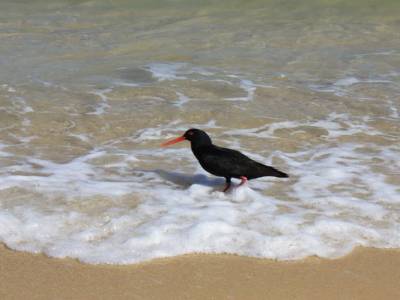 Abel Tasman National Park