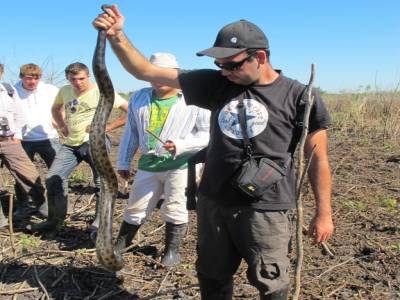 et ben voila fernando on la trouve notre anaconda
