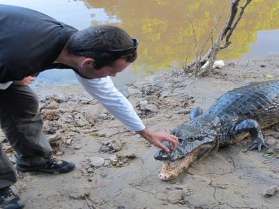 pedro le croco