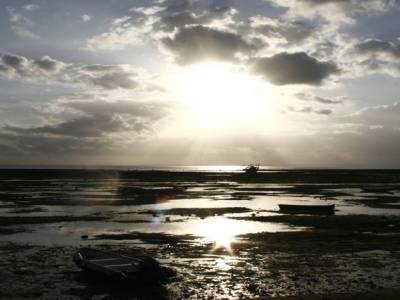 Nusa lembogan