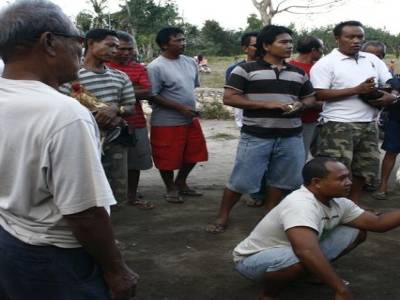 Nusa lembogan : Combat de coq