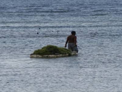 Nusa lembogan : culture d'algues