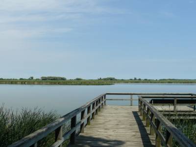 Pointe Pelée National Parc