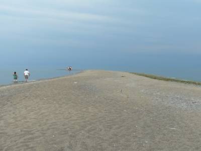 Pointe Pelée National Parc