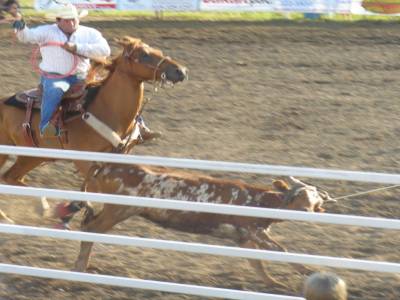 Rodéo de Kingsville
