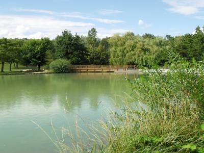 Etang du Parc de Murigny