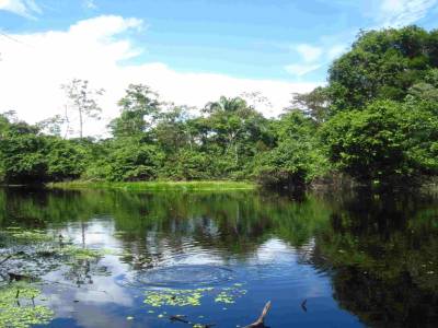 laguna vu de jour où on a chasser le caiman 