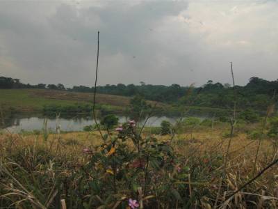 Parc National Khao Yai
